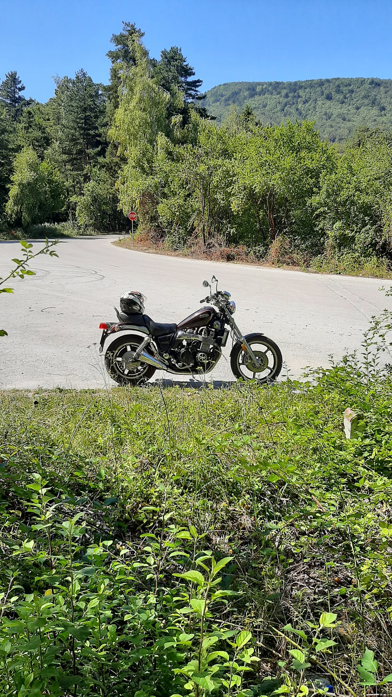 Yamaha Maxim Xj - изображение 5