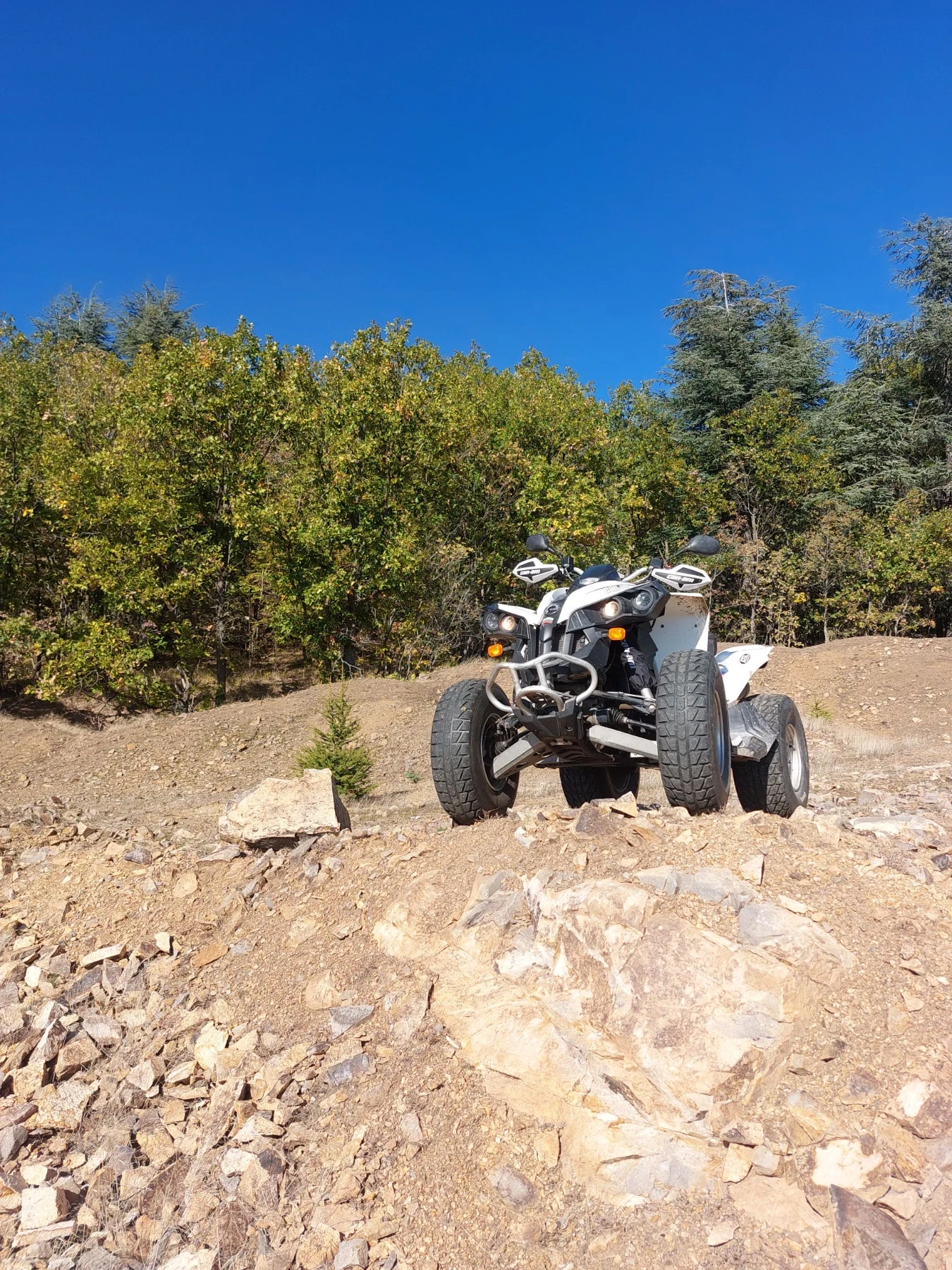 Can-Am Renеgade 800R, снимка 3 - Мотоциклети и мототехника - 55906328