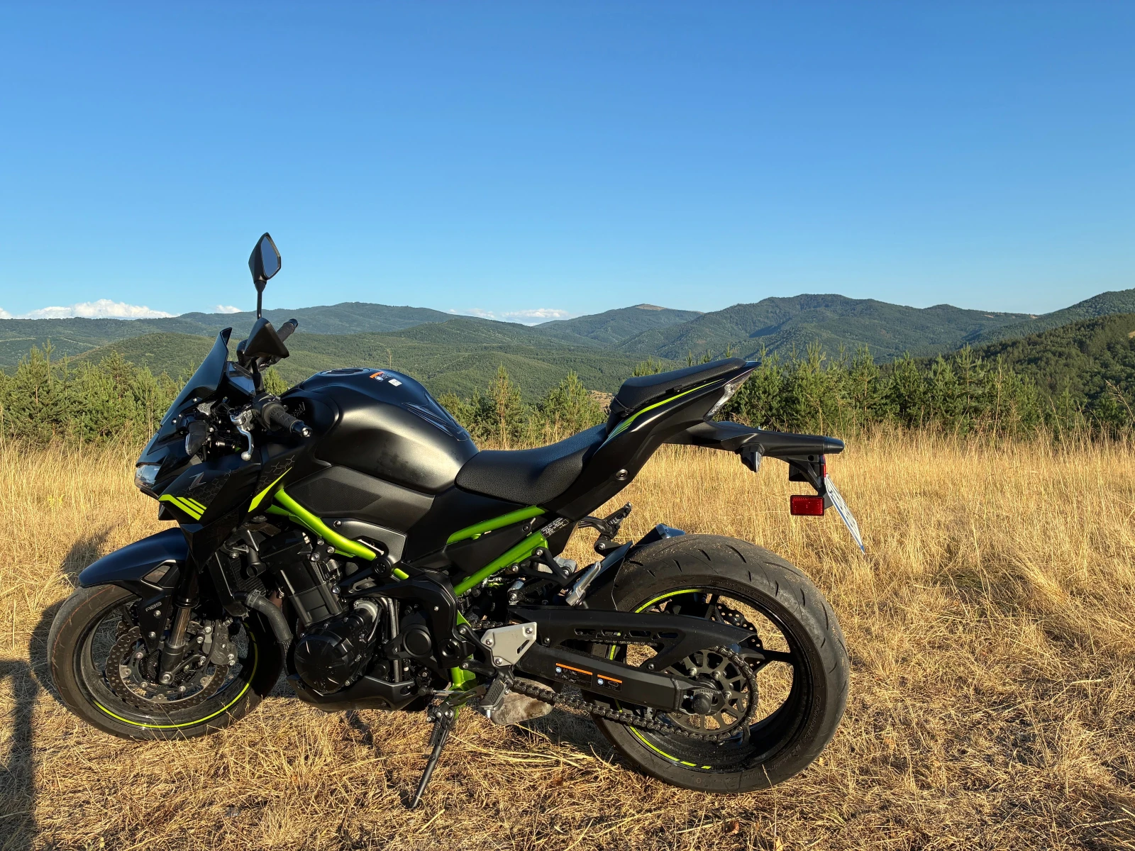 Kawasaki Z Z900 - изображение 4