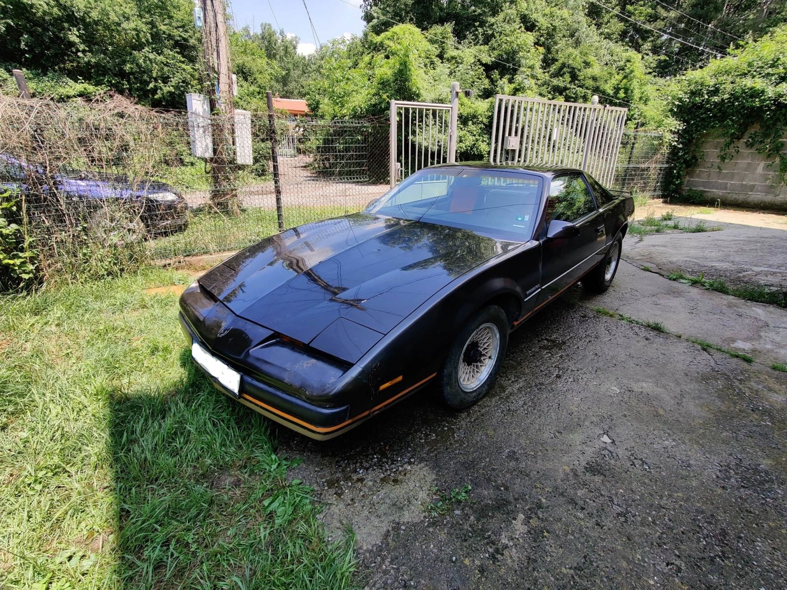 Pontiac Firebird, снимка 1