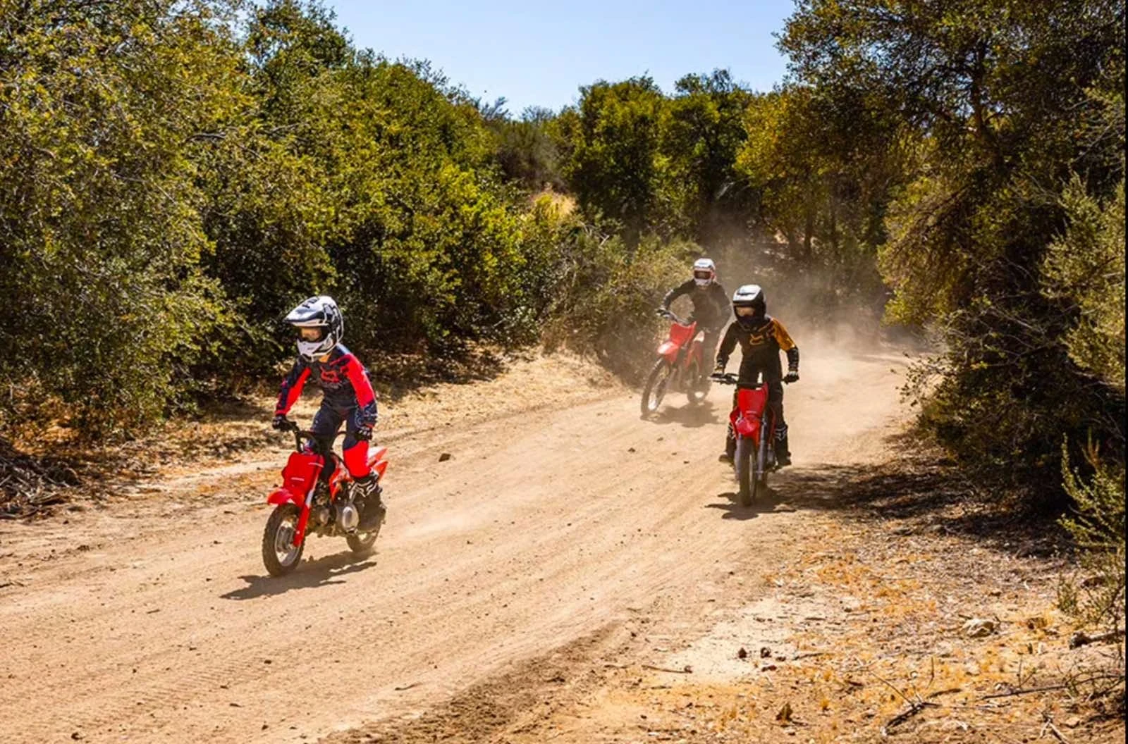 Honda Crf 50F  | Mobile.bg   16