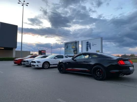 Ford Mustang 5.0 GT Performance Pack  | Mobile.bg    11