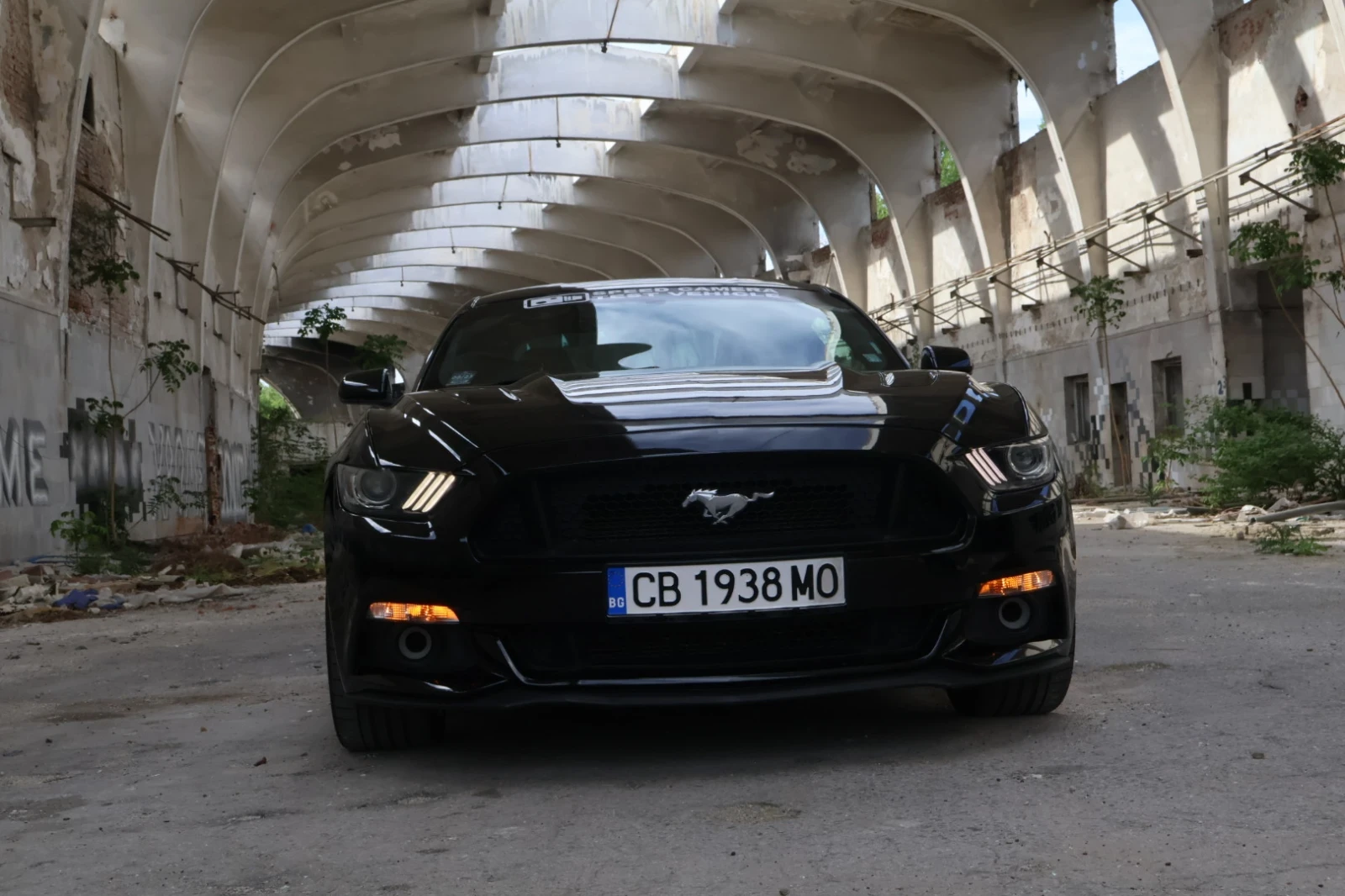 Ford Mustang GT 5.0 - изображение 9