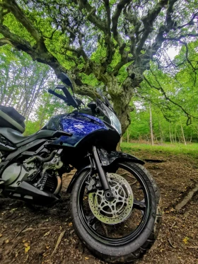 Suzuki V-strom 1000 | Mobile.bg    3