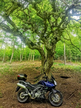 Suzuki V-strom 1000 - изображение 1