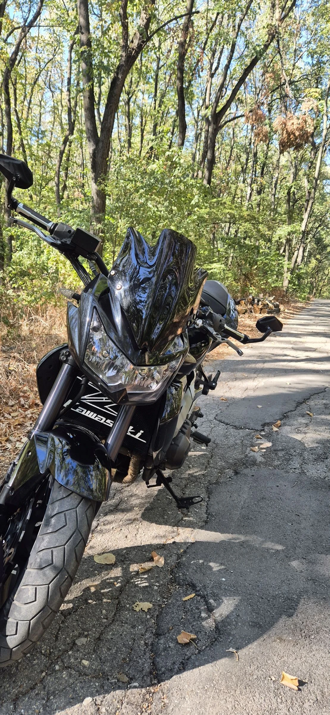 Kawasaki Z, снимка 1