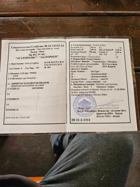 Лодка Собствено производство