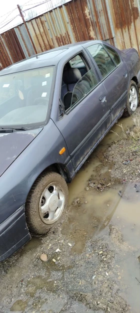 Nissan Primera, снимка 3