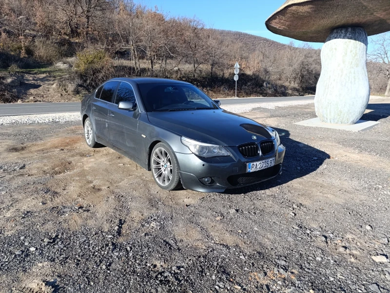 BMW 530 530d, снимка 2 - Автомобили и джипове - 48391702