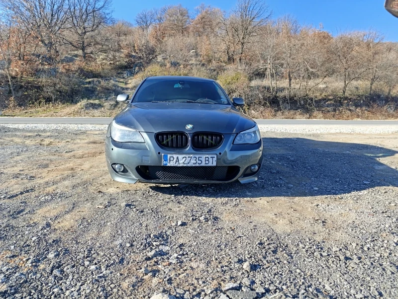 BMW 530 530d, снимка 3 - Автомобили и джипове - 48391702