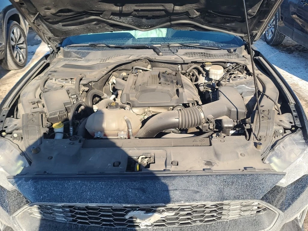 Ford Mustang * ECOBOOST PREMIUM * CARFAX * ���� �� �� | Mobile.bg � ����������� 13