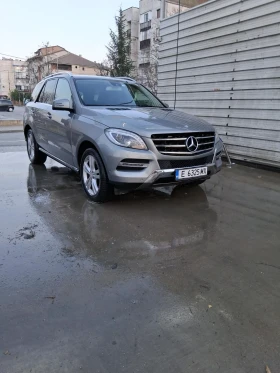 Mercedes-Benz ML 250, снимка 1