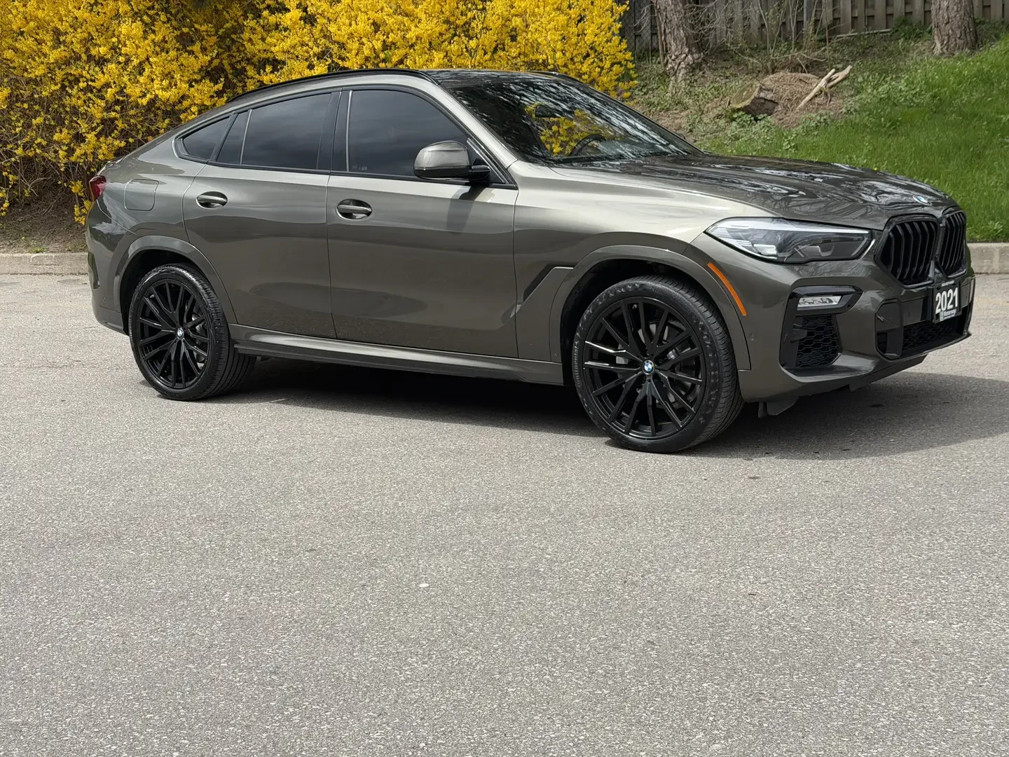 BMW X6, снимка 3 - Автомобили и джипове - 54838432