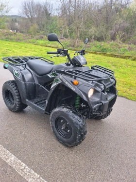 Kawasaki Kvf 300, снимка 1