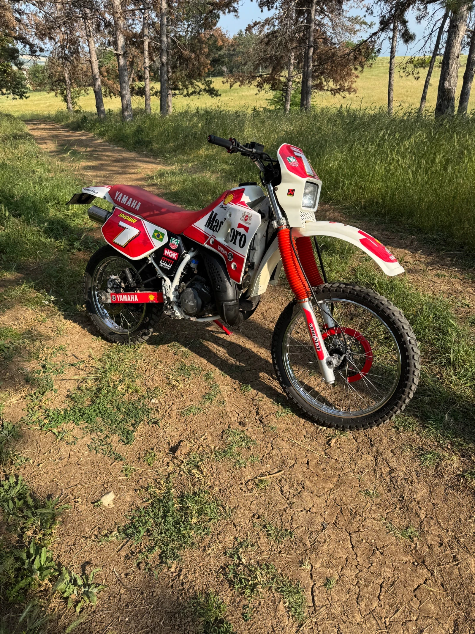 Yamaha Dt  - изображение 2