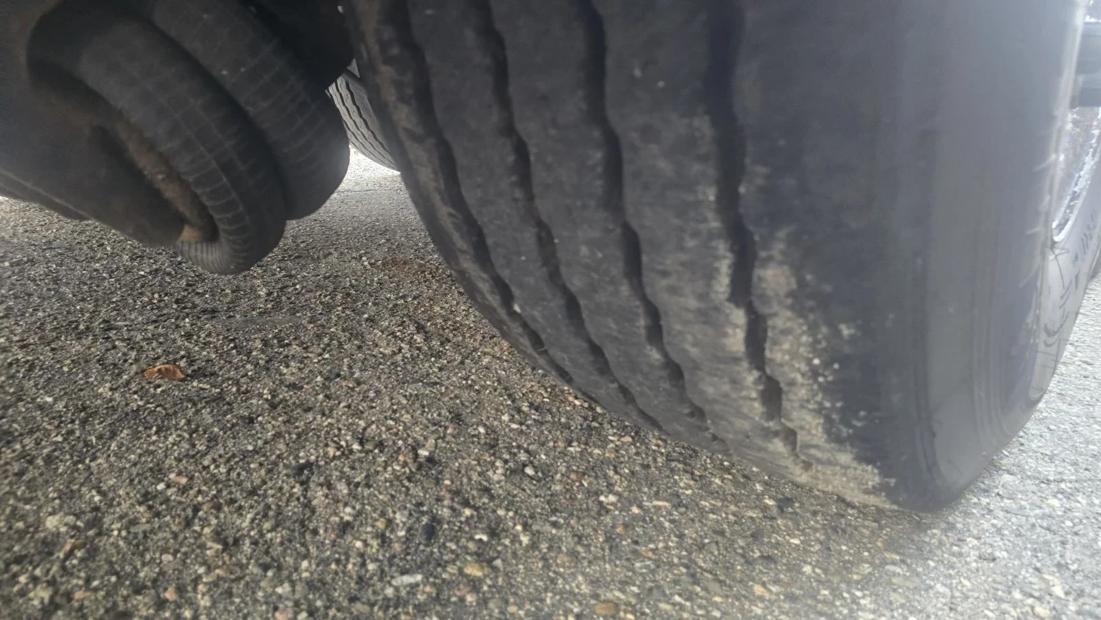 ����������� Schmitz ADR / ���� | Mobile.bg � ����������� 12