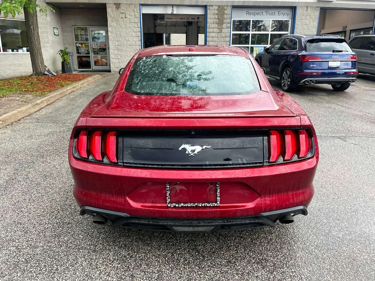 Ford Mustang * EcoBoost * CARFAX * ОПЦИЯ ЗА АВТОКРЕДИТ * , снимка 4 - Автомобили и джипове - 55529501