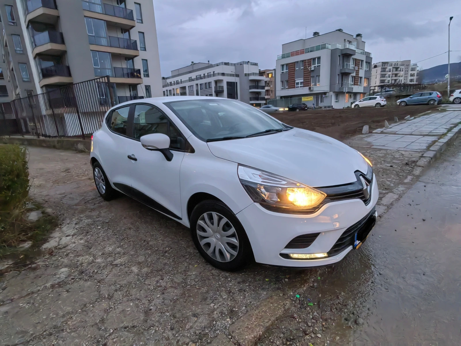 Renault Clio N1 - изображение 10