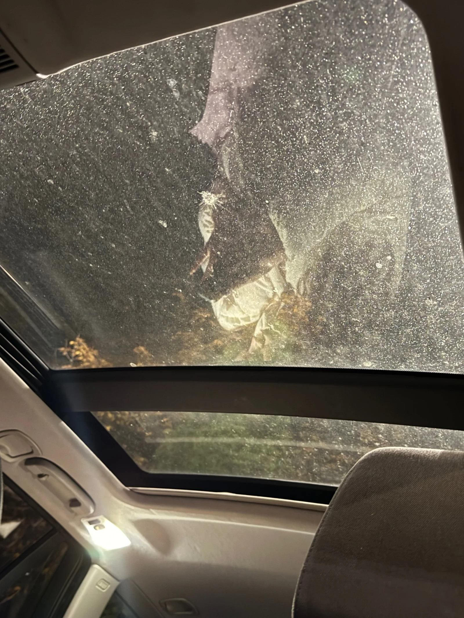 BMW 320 | Mobile.bg   11