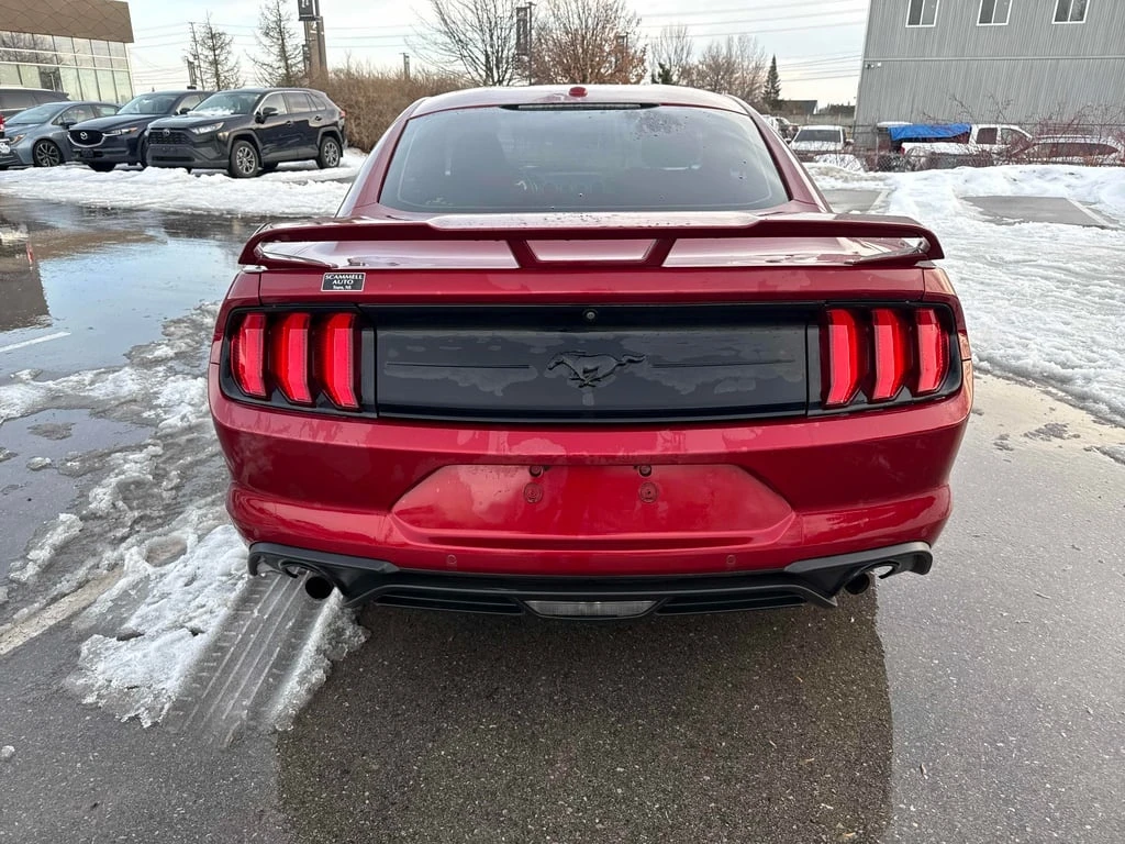 Ford Mustang * EcoBoost * CARFAX * ��� ������������ ������ | Mobile.bg � ����������� 4