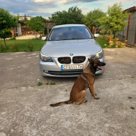 BMW 520 - 3300 € / 6454.24 лв. - 14465269 3