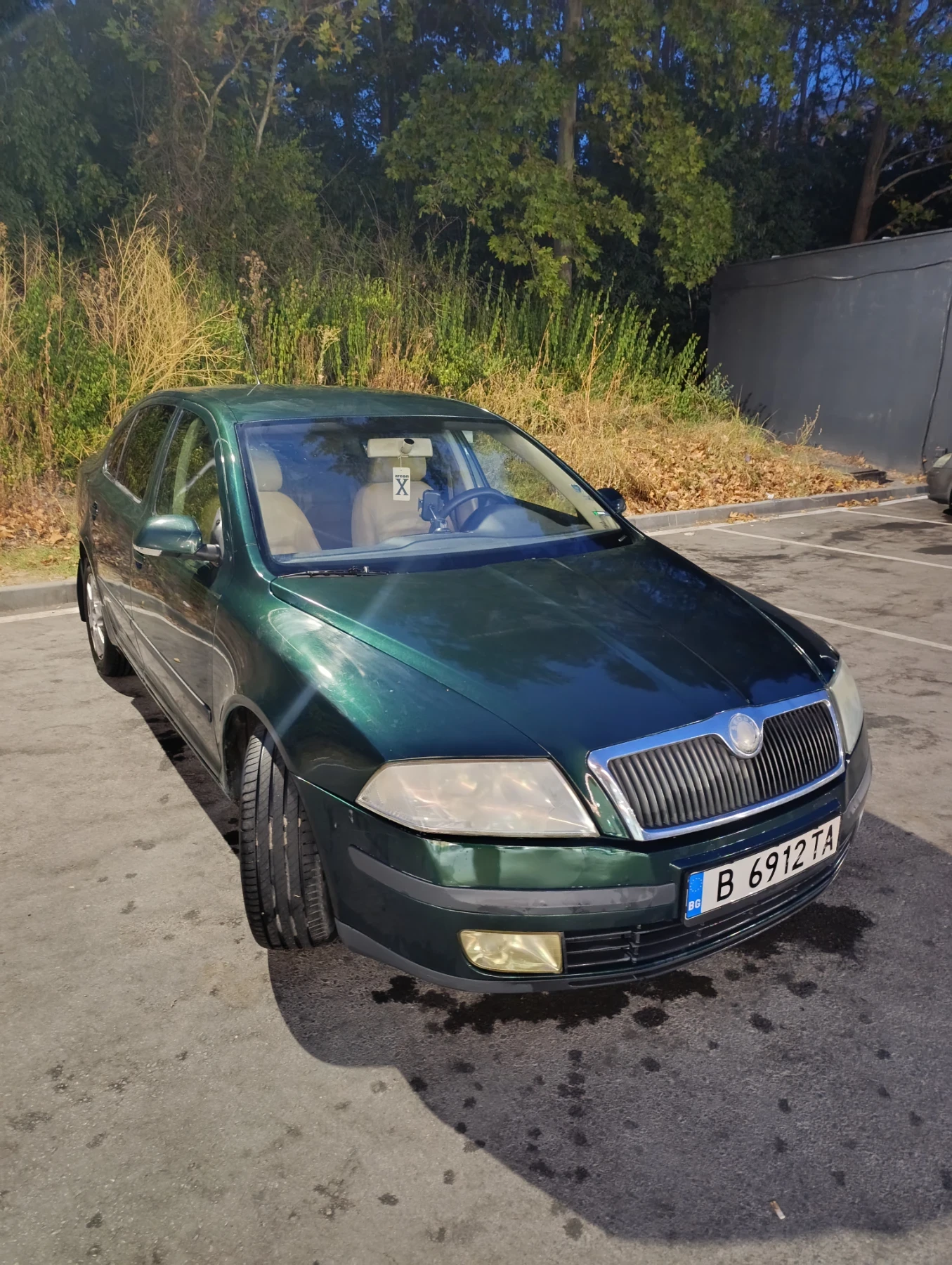Skoda Octavia TDI 2.0 | Mobile.bg   1