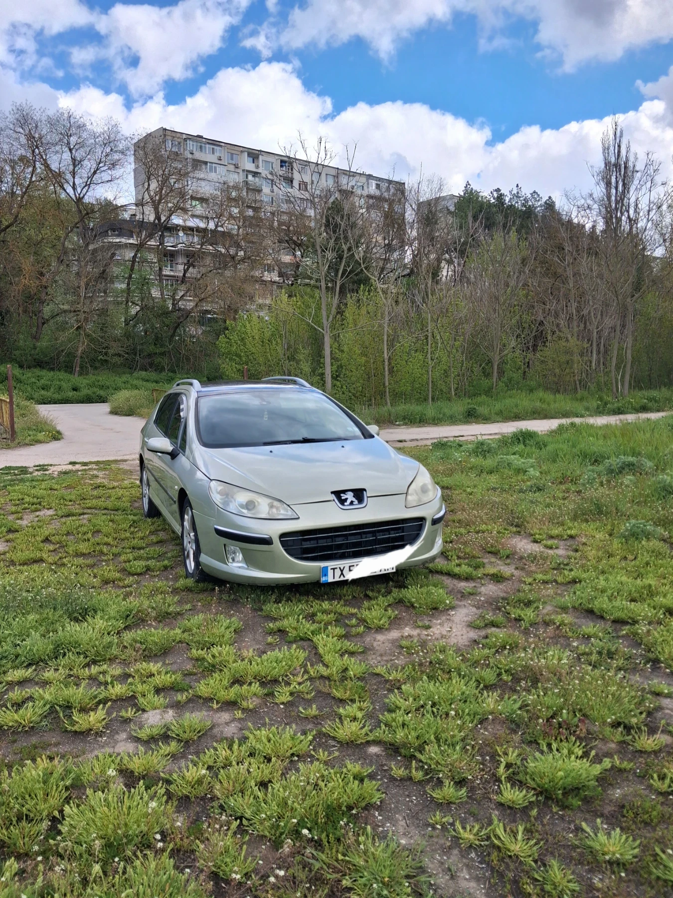 Peugeot 407  SW, снимка 7 - Автомобили и джипове - 54576028