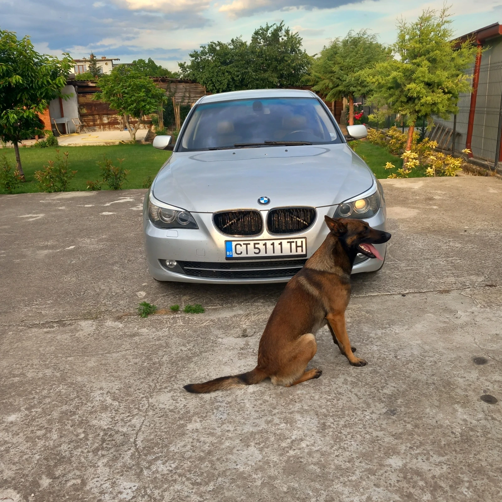 BMW 520, снимка 3 - Автомобили и джипове - 54842255