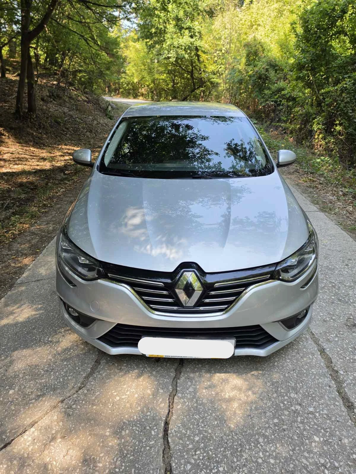 Renault Megane Intens 1.5 dCi / 110к.с / 87 000км/ Зимни гуми, снимка 3 - Автомобили и джипове - 56077300