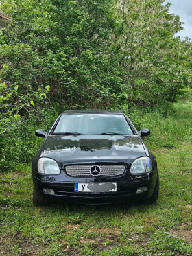 Mercedes-Benz SLK, снимка 11 - Автомобили и джипове - 44700775