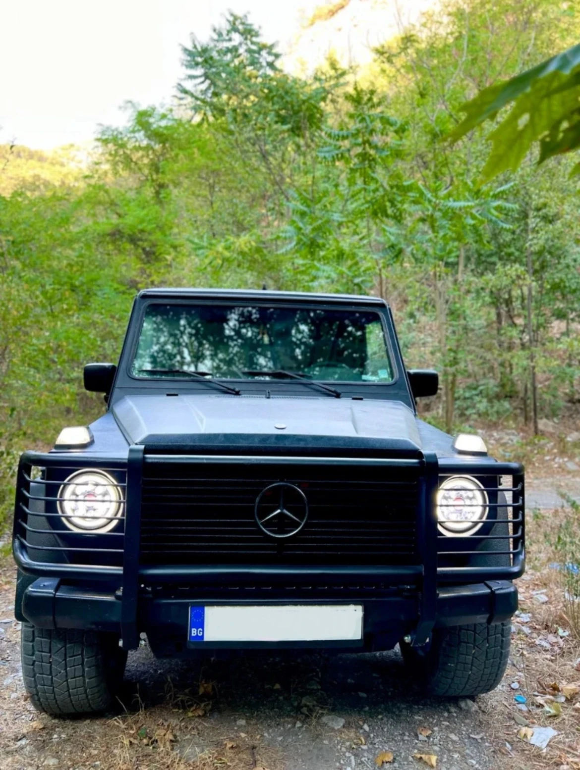 Mercedes-Benz G  - изображение 2