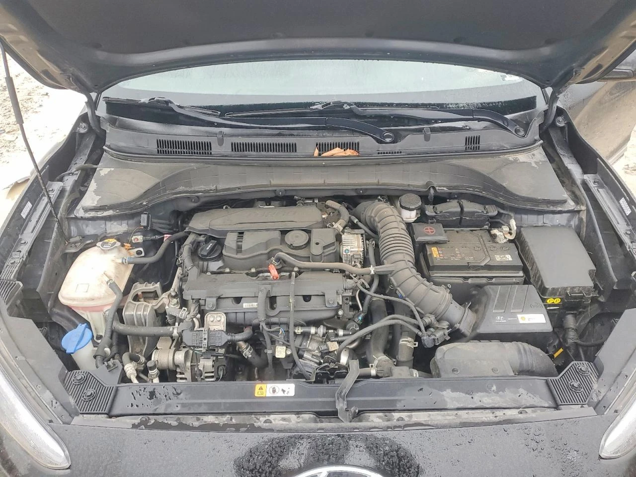 Hyundai Kona 1.6l Limited | Mobile.bg � ����������� 12