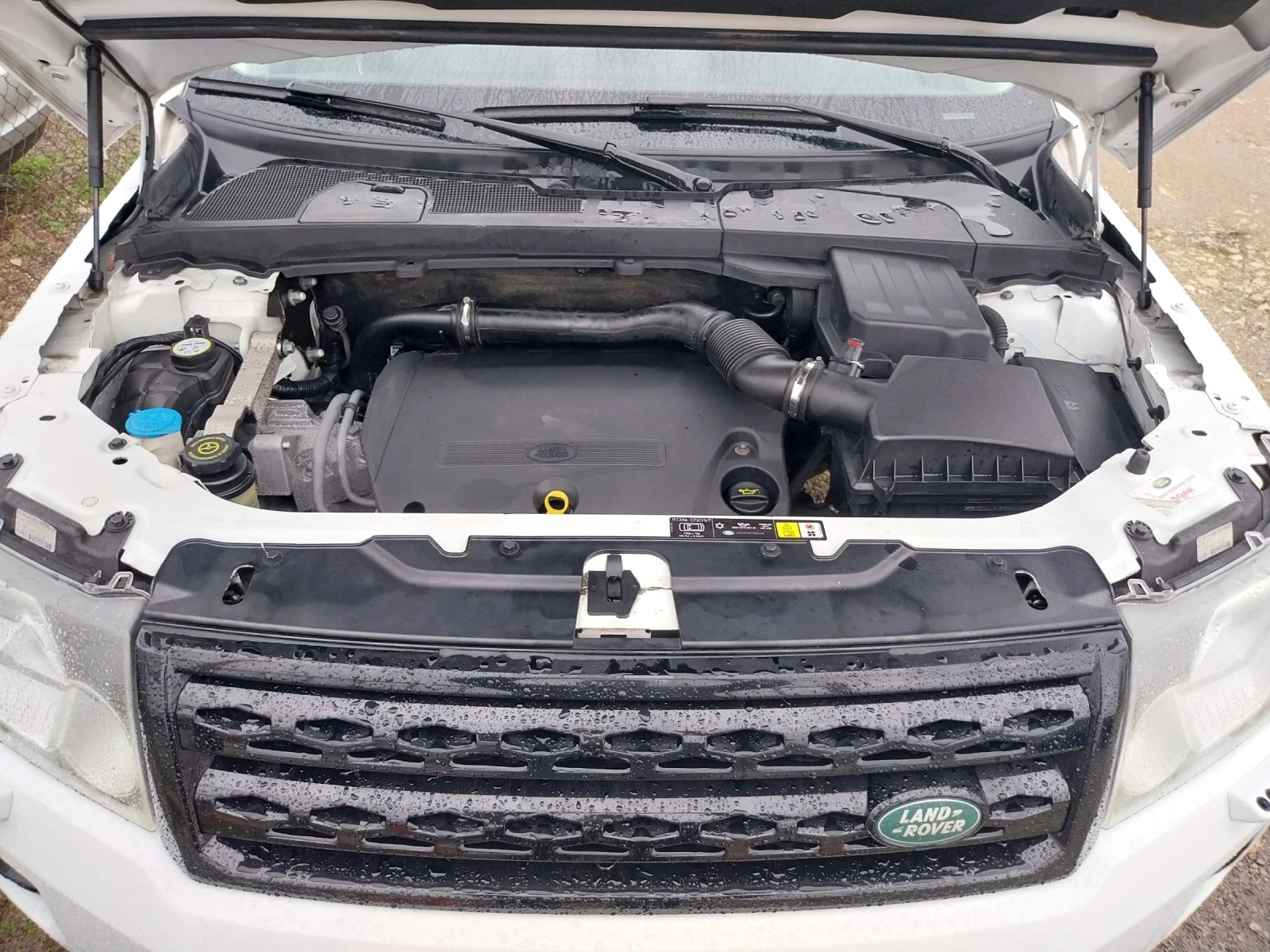 Land Rover Freelander 2.2 SD4 | Mobile.bg   16