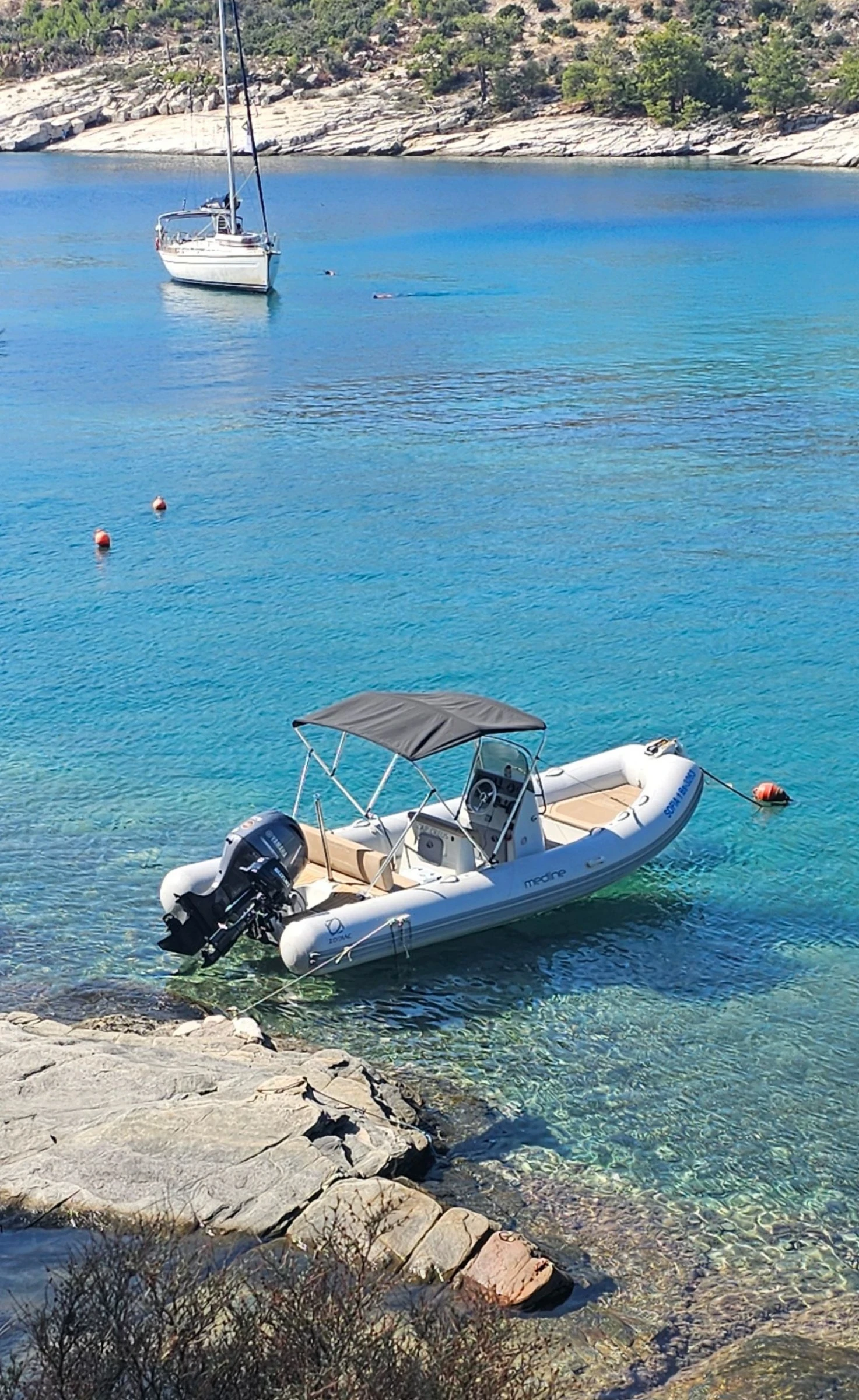   Zodiac Medeline 580 | Mobile.bg   1