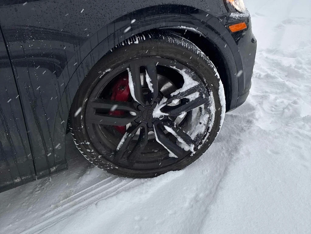 Audi SQ5 Technik  CARFAX - изображение 7