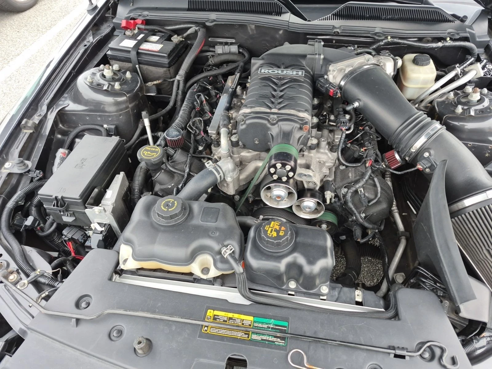 Ford Mustang DRAG READY ROUSCH MT � ����������� & ���� ������  | Mobile.bg � ����������� 5