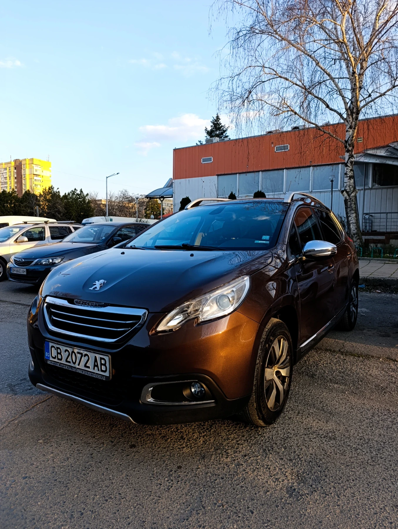 Peugeot 2008 Панорама