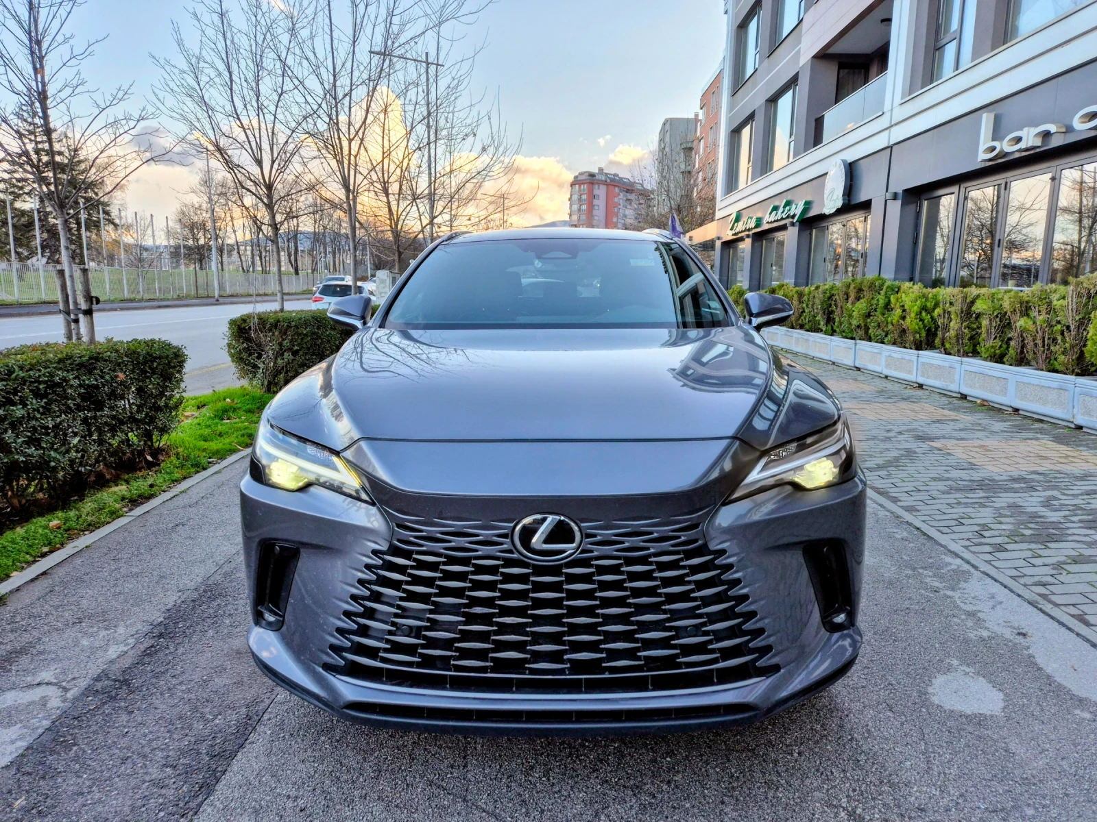 Lexus RX 350h AWD HIBRID PANO* * *  - изображение 2