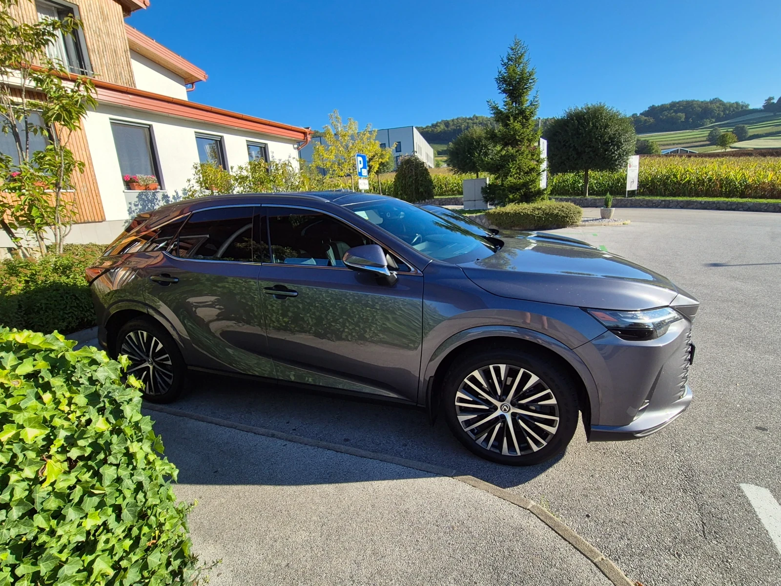 Lexus RX 350h AWD HIBRID PANO* * *  - изображение 7