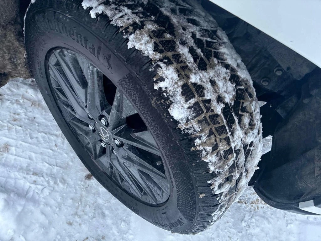 Lexus GX 550 CARFAX - изображение 7