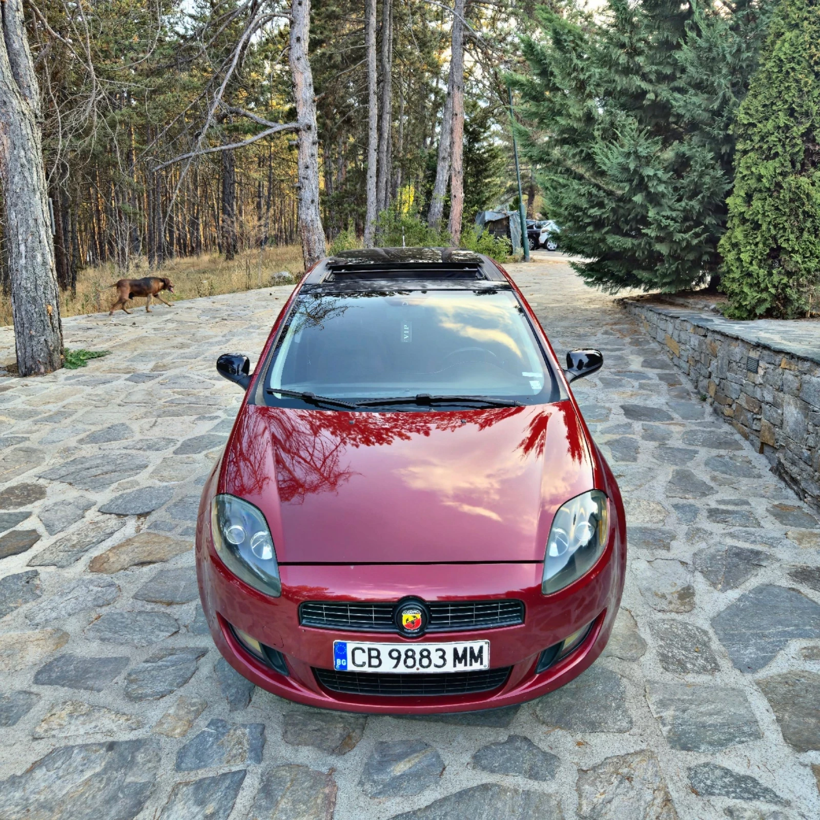 Fiat Bravo 1.9 M-JET 150кс. SPORT/PANORAMA/NAVI/STAGE 1 - изображение 2