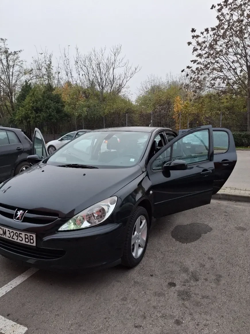 Peugeot 307, снимка 3 - Автомобили и джипове - 53851223