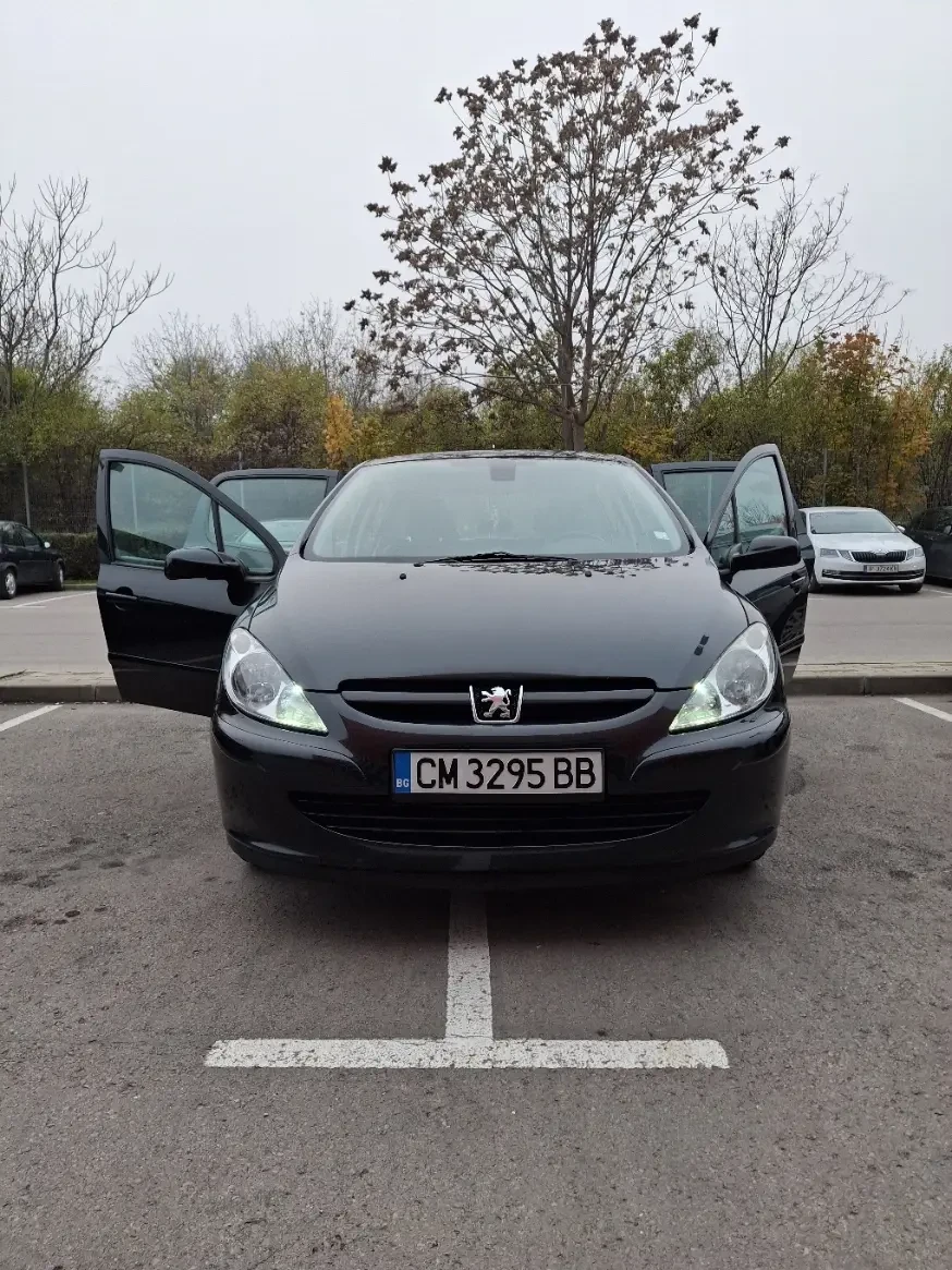 Peugeot 307, снимка 2 - Автомобили и джипове - 53851223