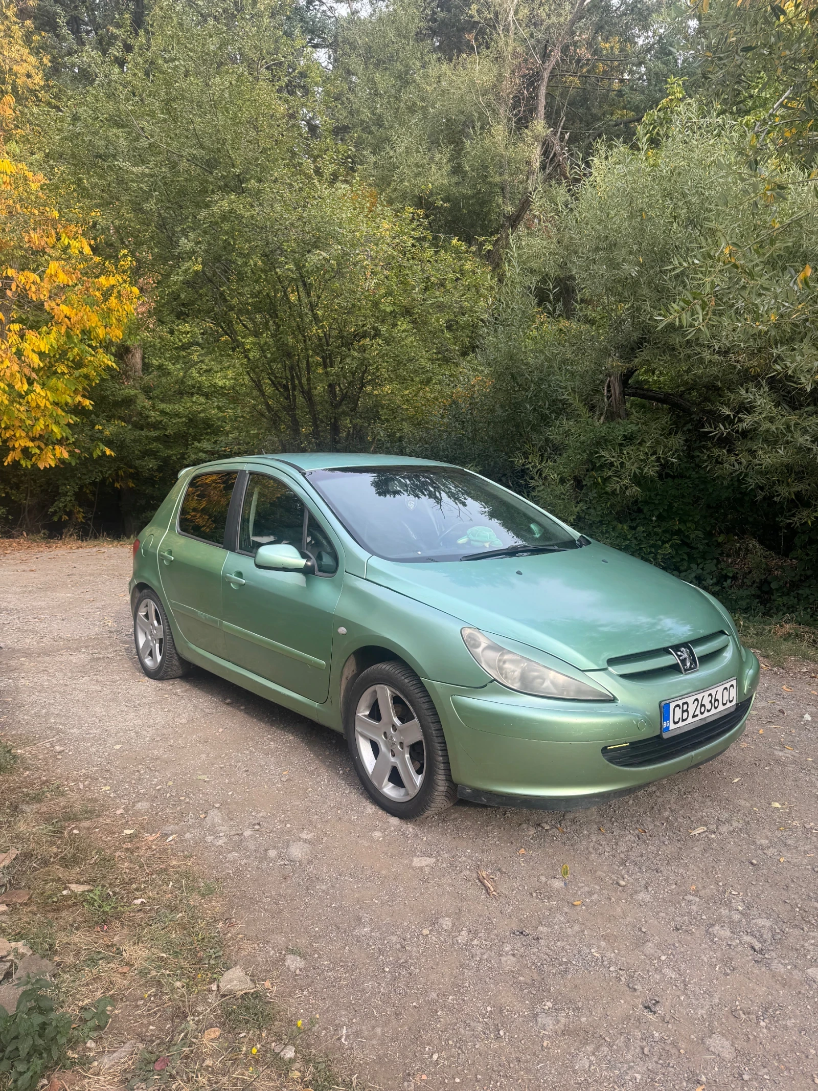 Peugeot 307, снимка 3 - Автомобили и джипове - 56555820