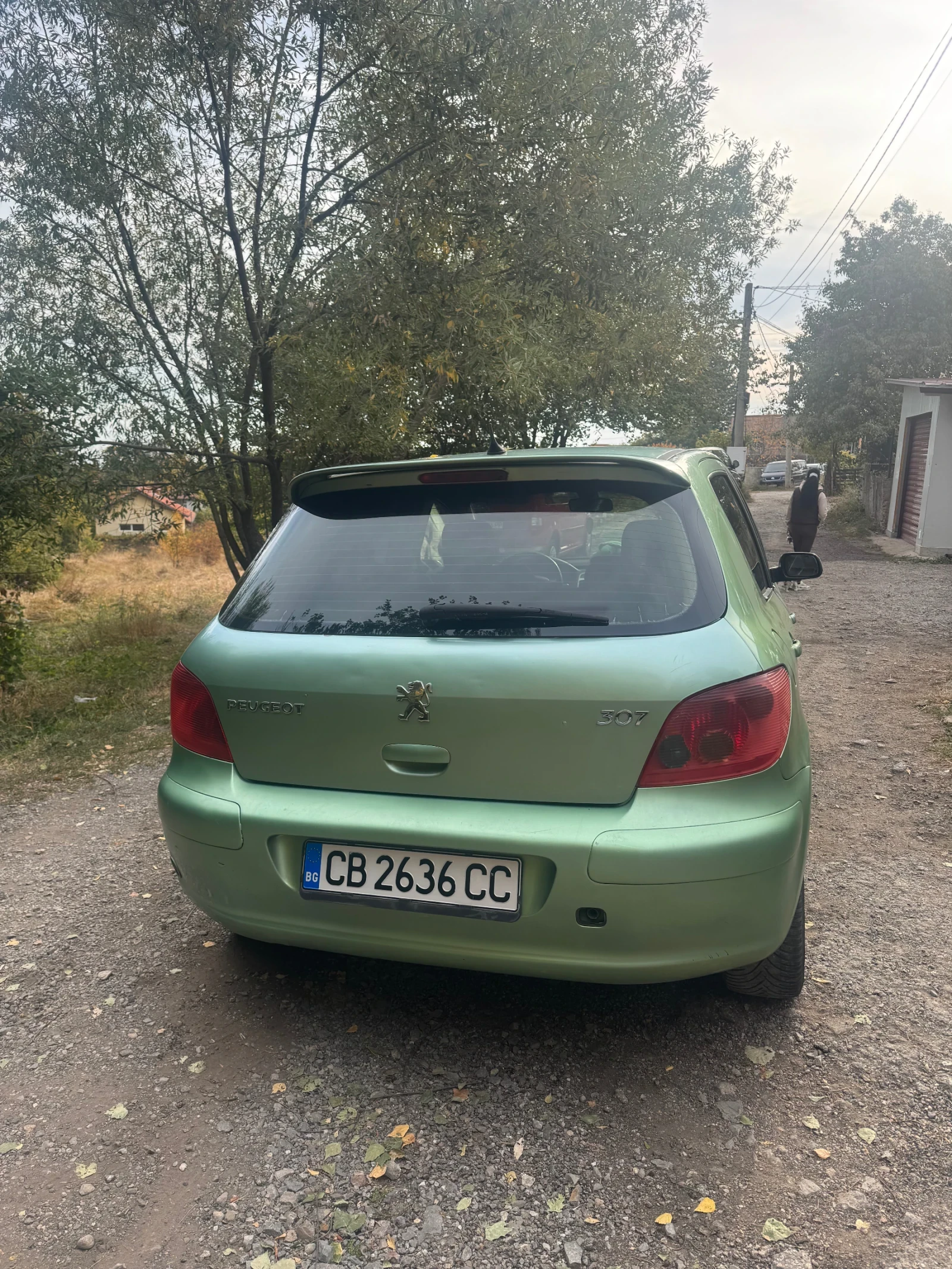 Peugeot 307, снимка 4 - Автомобили и джипове - 56555820
