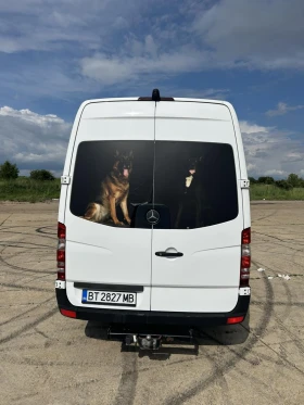 Mercedes-Benz Sprinter 311 | Mobile.bg    5