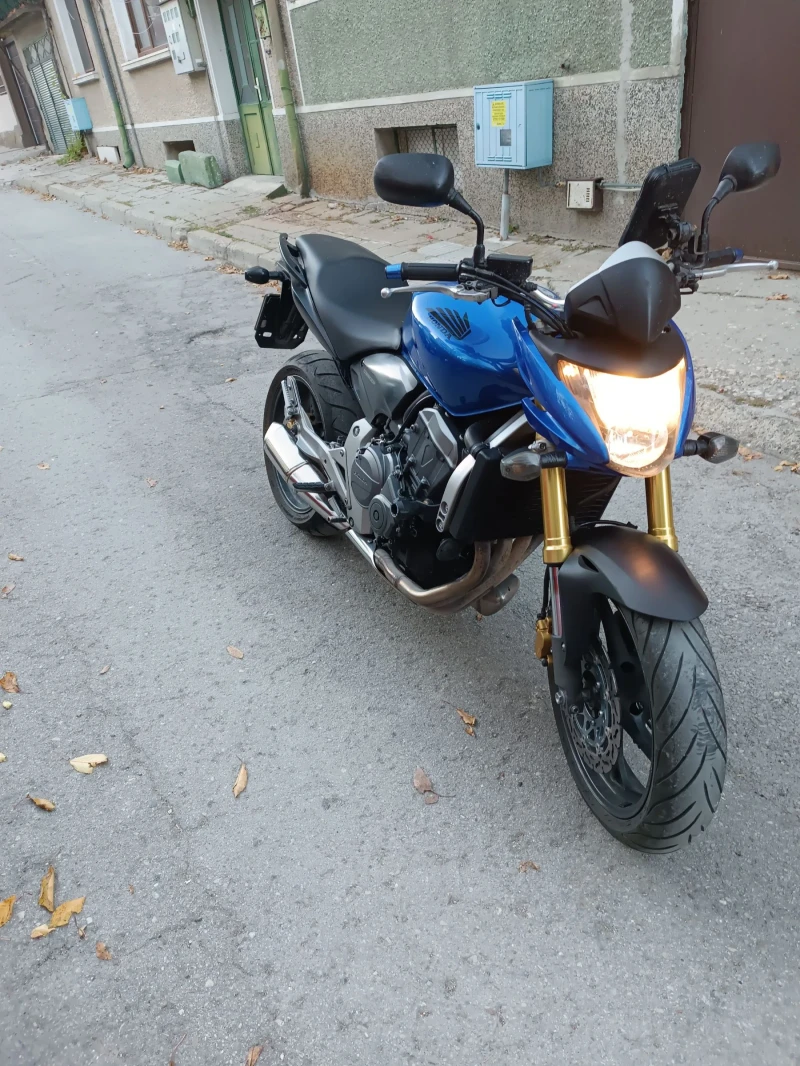 Honda Hornet