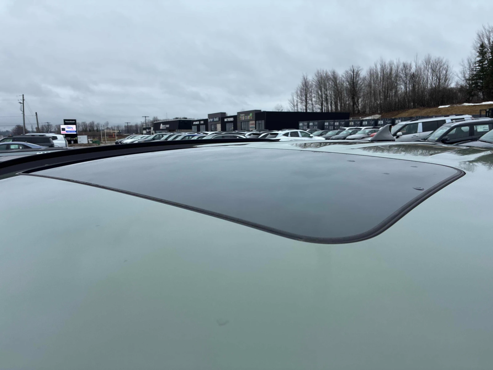 Hyundai Santa Cruz Ultimate * * CARFAX * * ���� ������ * *  | Mobile.bg � ����������� 7