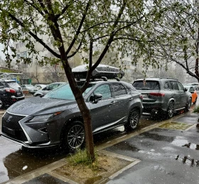 Lexus RX 450h F-sport - 81500 лв. - 18630218 4