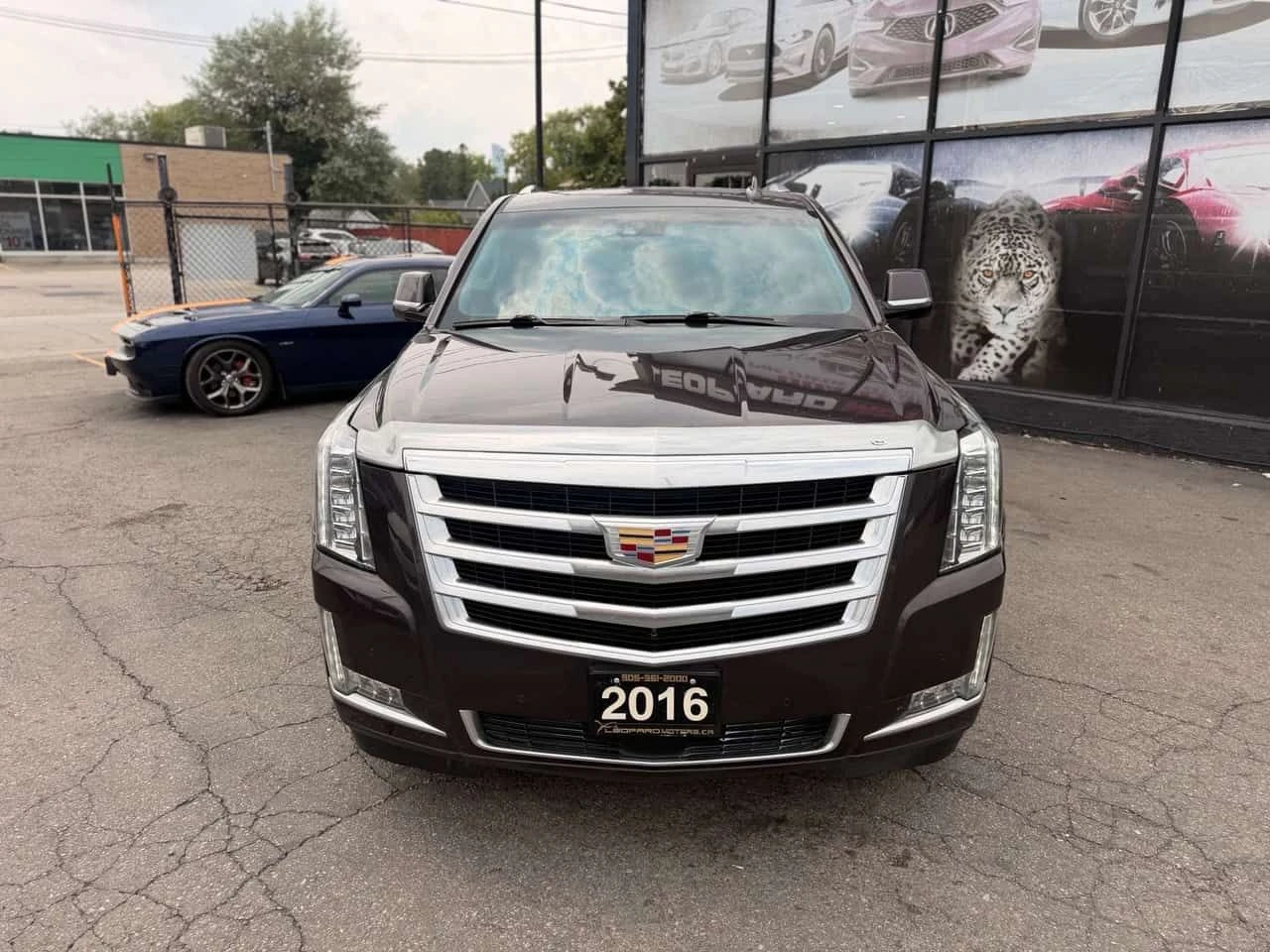 Cadillac Escalade Premium * ��������� ���� �� �������� *  | Mobile.bg � ����������� 2